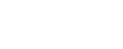 https://astromee.com/wp-content/uploads/2024/03/A2.png